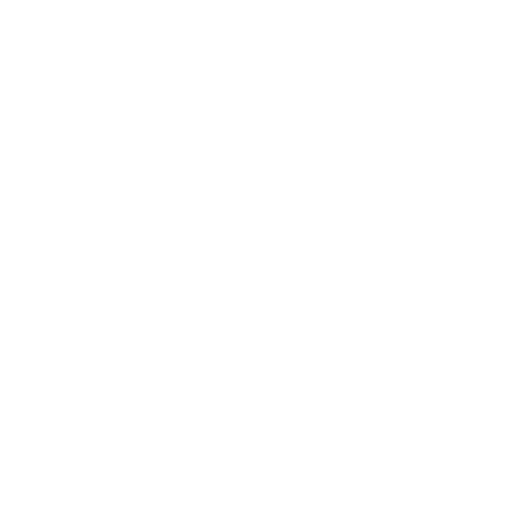 Rapspoint Logo Baru